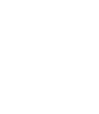 south Wirral high school logo in white