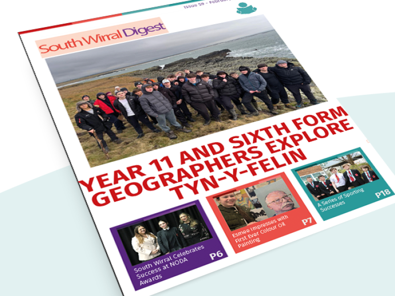 newsletterweb56